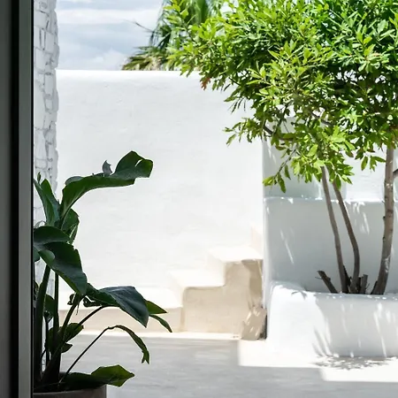 Parea - Adults Only Páros