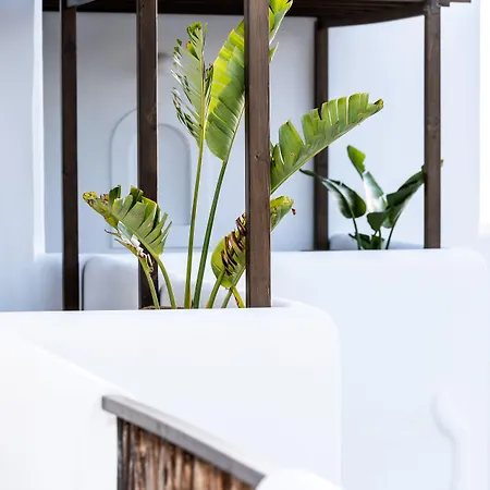 Hotel Parea - Adults Only 4*